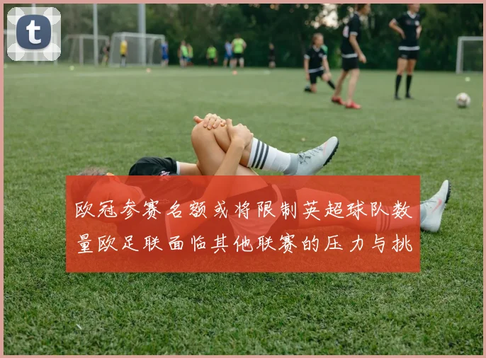 欧冠参赛名额或将限制英超球队数量欧足联面临其他联赛的压力与挑战
